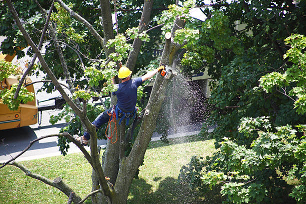 Seasonal Cleanup (Spring/Fall) in Tuckerton, NJ